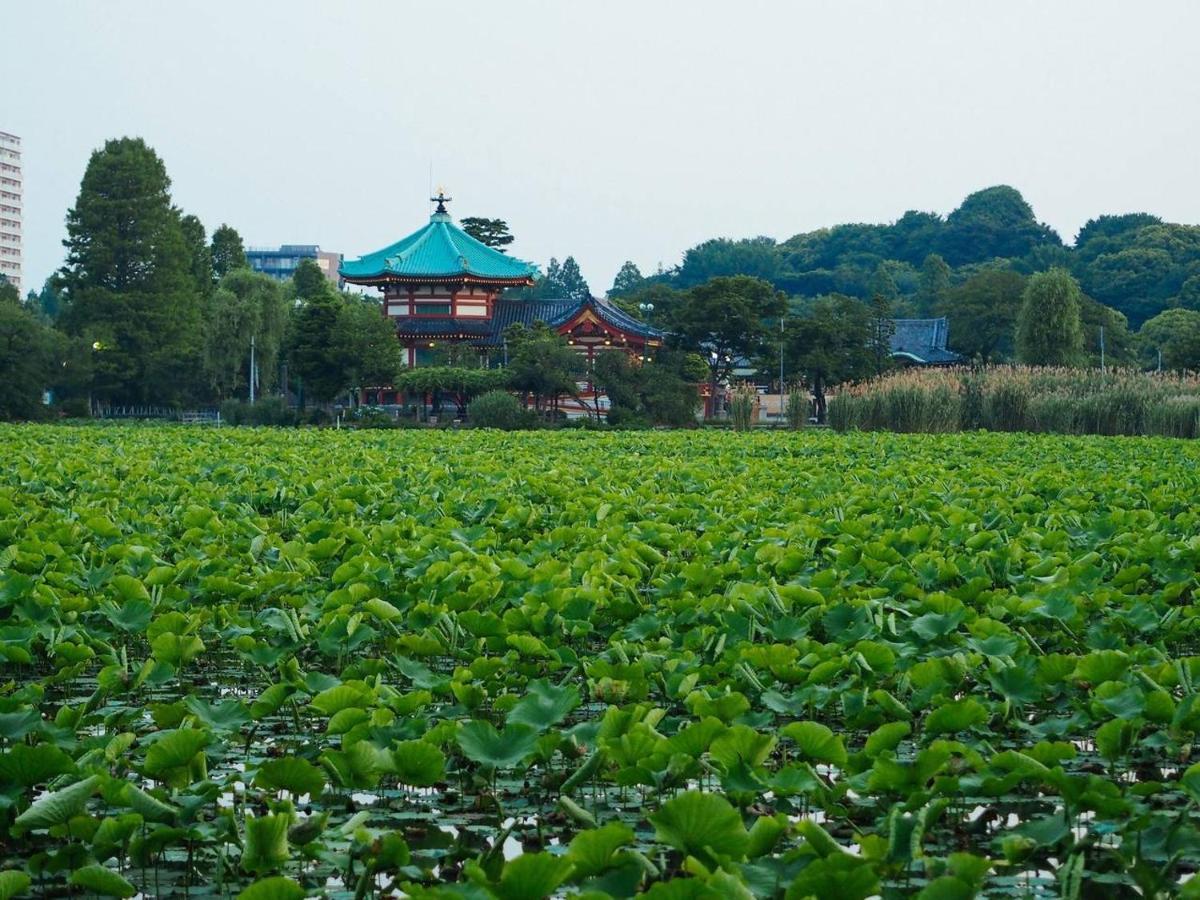 Affittacamere Tora Ueno 寅ホテル 上野 A *